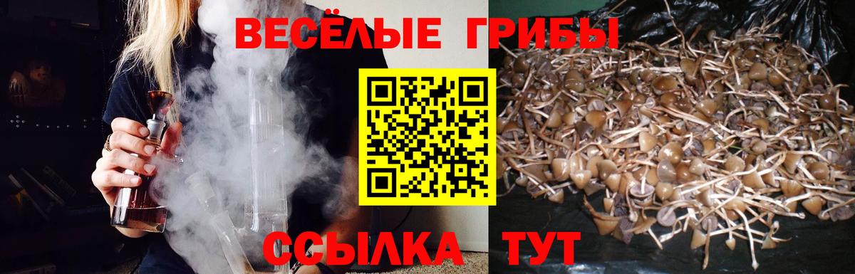 наркотики  Вход с VPN  Галлюциногенные грибы Cubensis  Приморско-Ахтарск  Псилоцибиновые грибы прущие грибы 